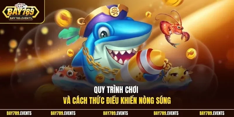 Quy trình chơi và cách thức điều khiển nòng súng 